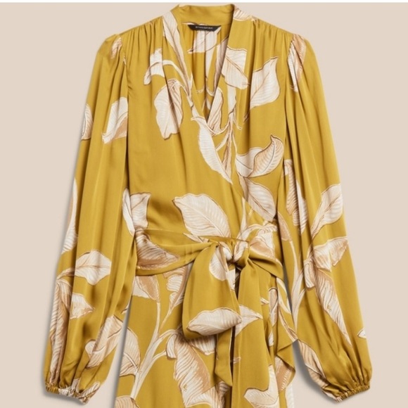 SEEKING Banana Republic Long Sleeve Maxi Wrap Dress XXL (NOT FOR SALE) - Picture 7 of 7